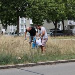 IMG_3924
